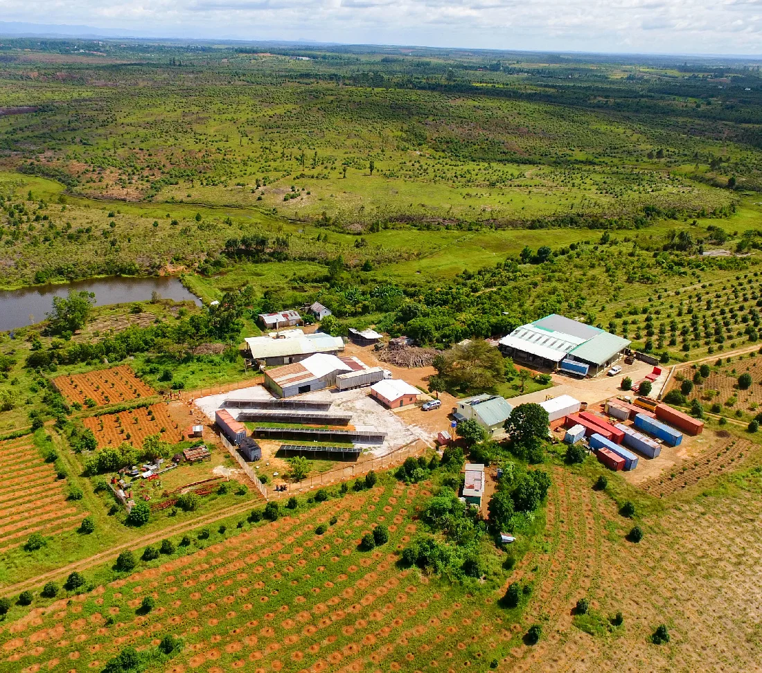 Organic by Conviction, Sustainable by Tradition