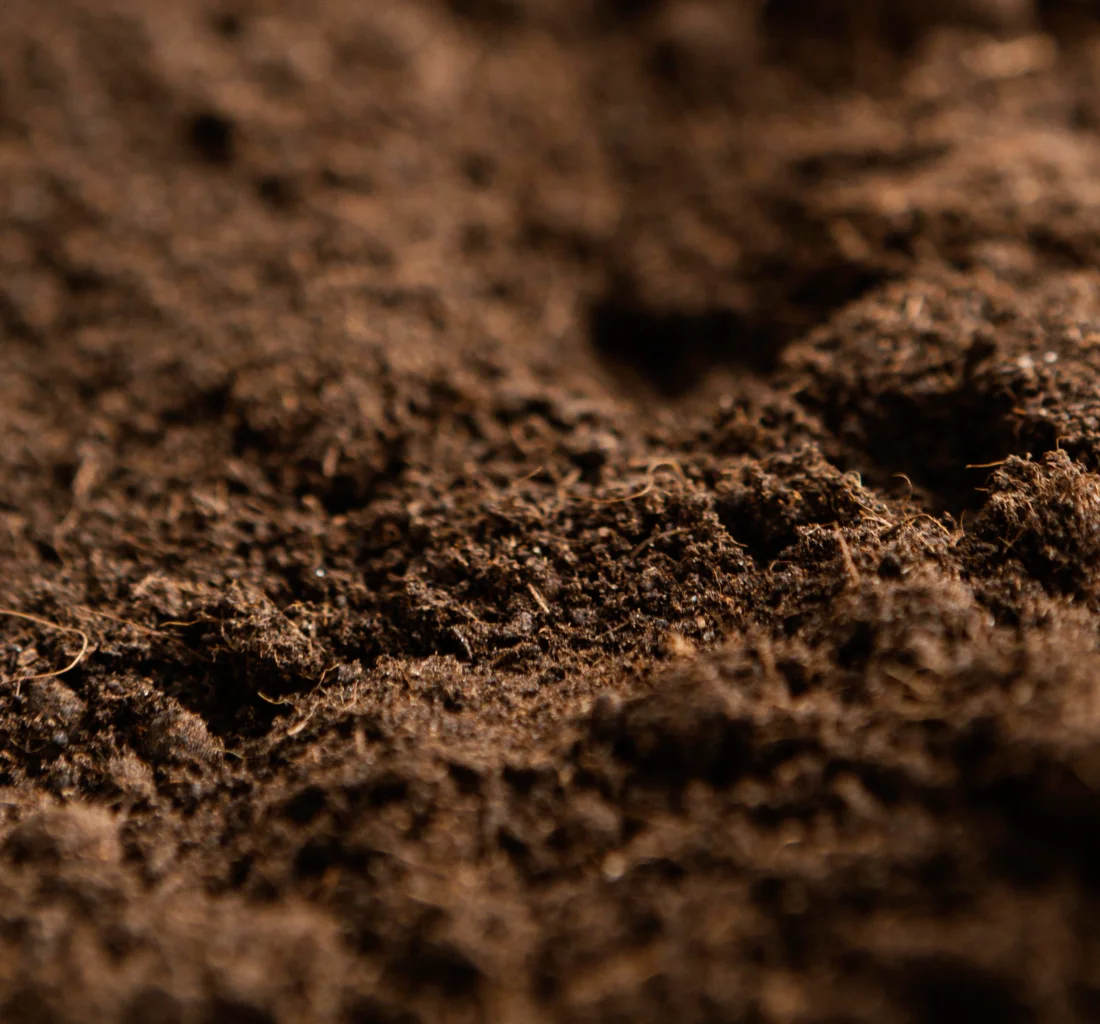 Preserving Soil and Biodiversity