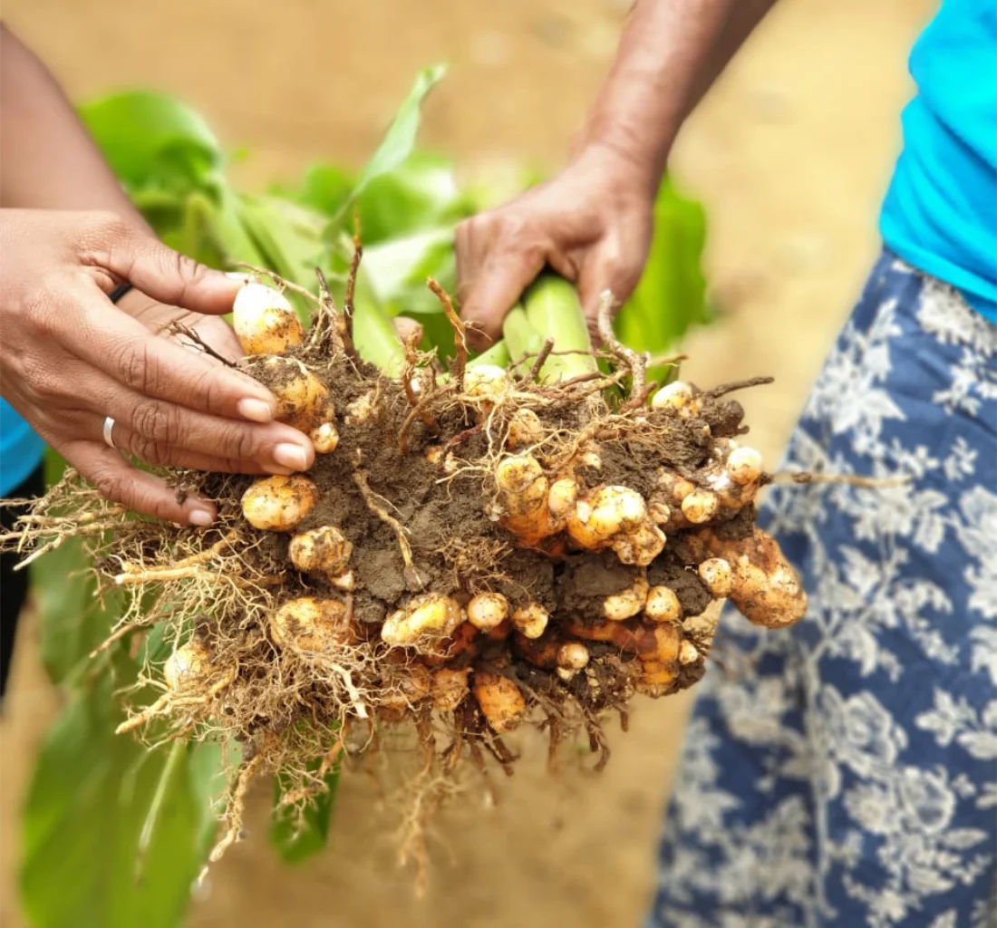 Operate outside short-term