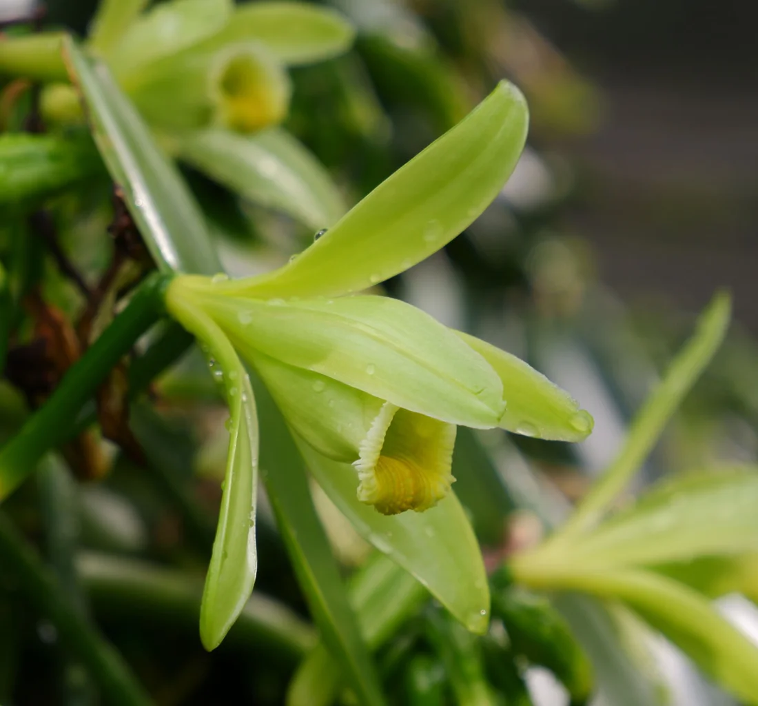 sourcing & raw material selection